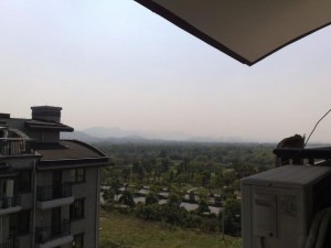 窗外的西溪湿地